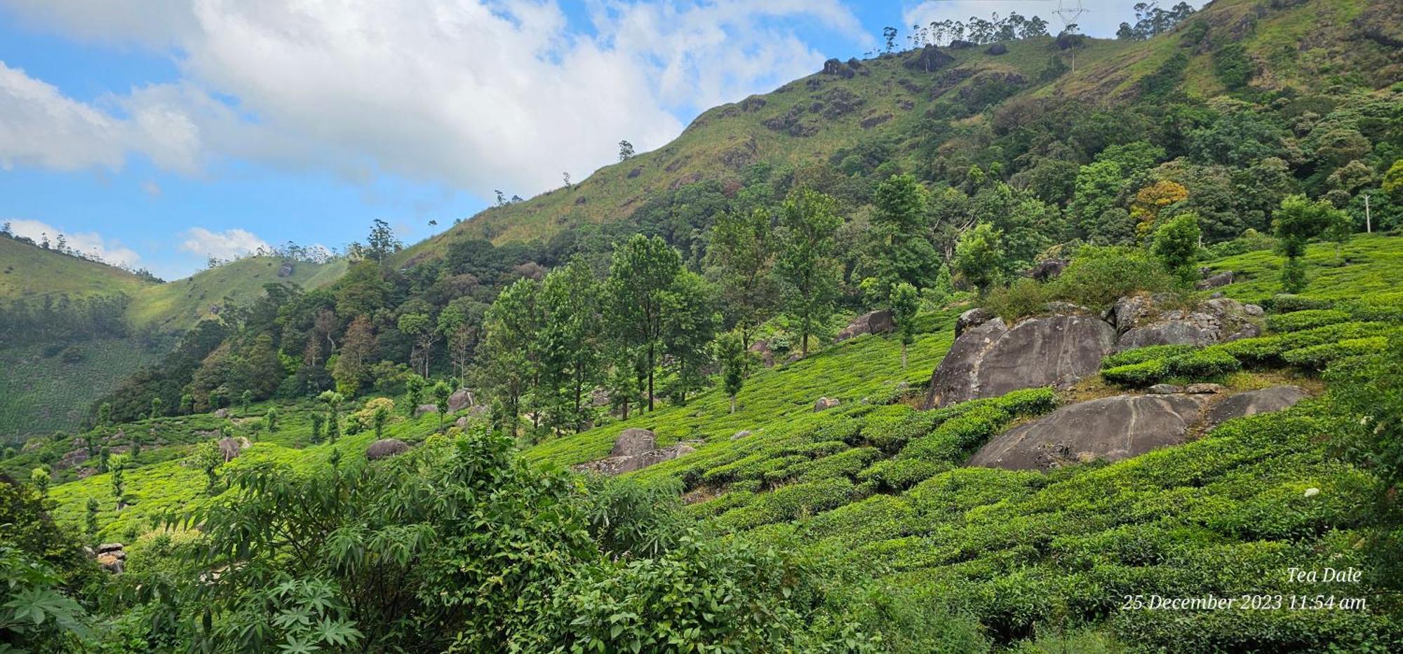 Tea Dale Apartment Munnar Exterior foto