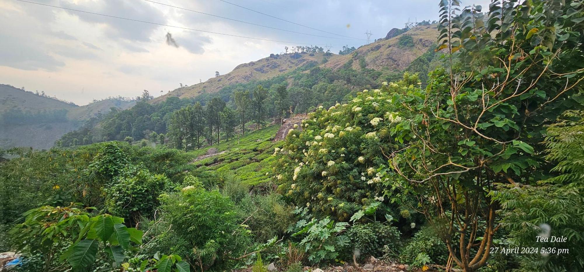 Tea Dale Apartment Munnar Exterior foto
