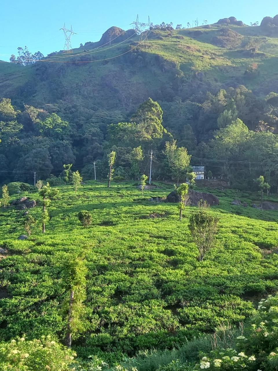 Tea Dale Apartment Munnar Cameră foto
