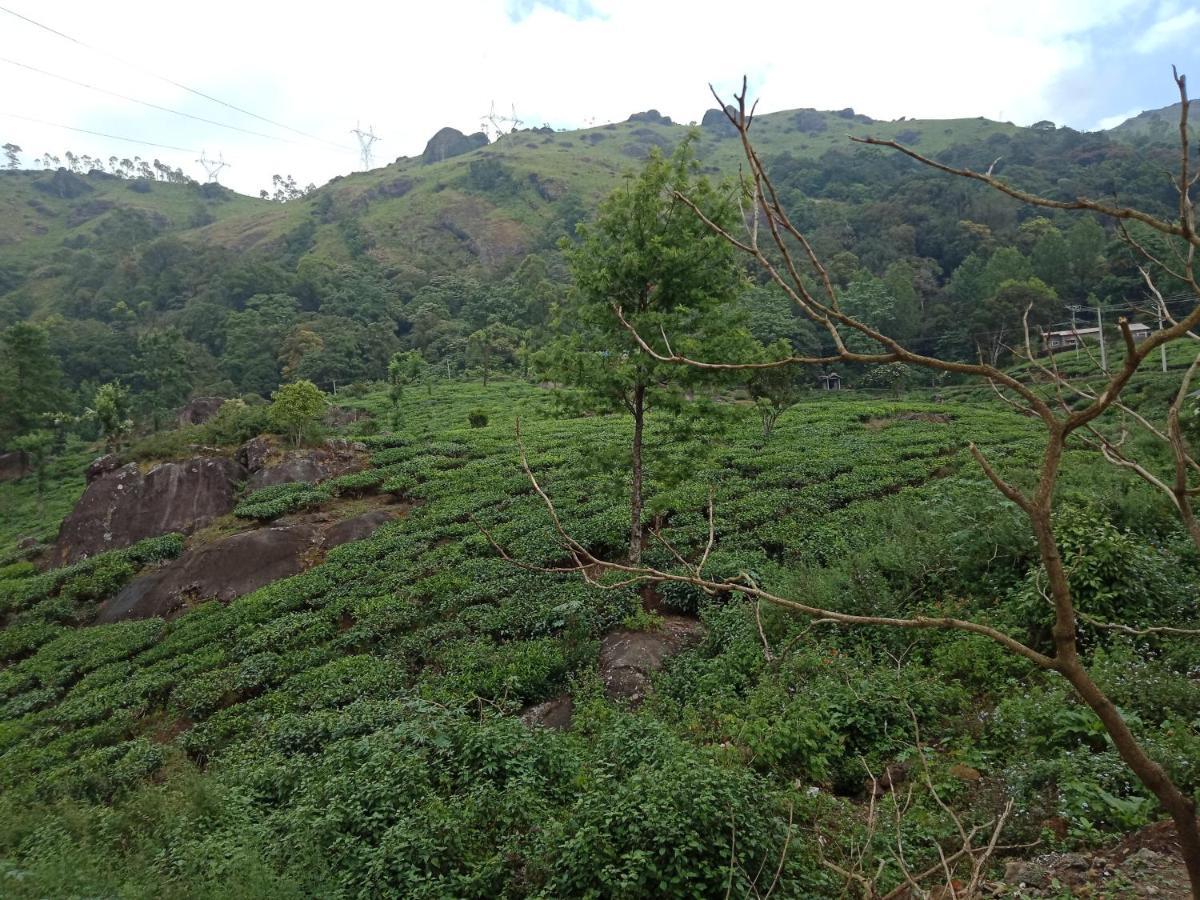 Tea Dale Apartment Munnar Exterior foto